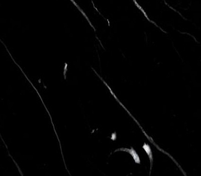 Mármore Nero Marquina
